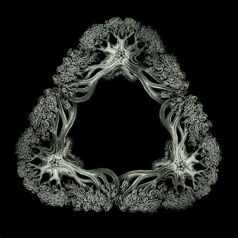 Fractal Generator Art by Tom Beddard All three of... | Visualizing Math