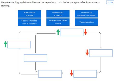 SOLVED Complete The Diagram Below To Illustrate The Steps That Occur