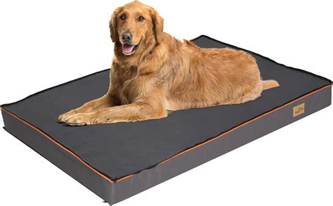 Bingopaw Coussin Chien Grande Taille Tapis Grand Chien Xxl D Houssable