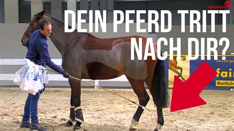 Dein Pferd Tritt Nach Dir Tricks Tipps Mit Luuk Teunissen