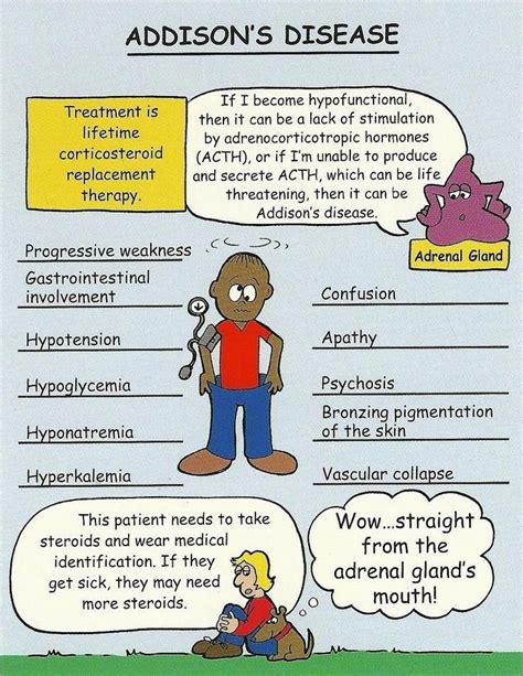 Nursing Infographics Addison S Disease Addisons Disease Nursing School Survival Nursing