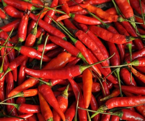 Study Chili Peppers May Extend Your Life