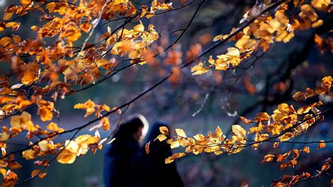 Wetter Sturmb En Und Milde Temperaturen In Bayern Zeit Online