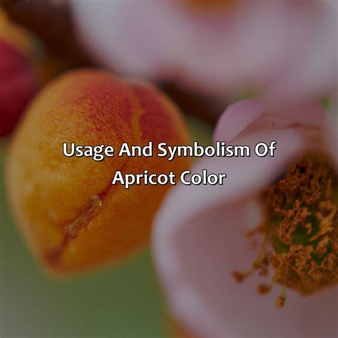 What Color Is Apricot - Branding Mates