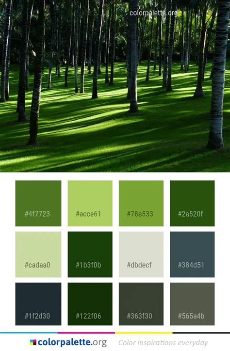 Grass Green Color Palette