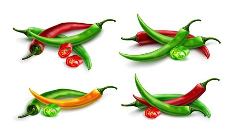 Red Chili Pepper Hot Spicy Paprika Cayenne Vector Art At Vecteezy