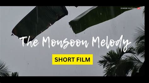 Melodic Frames The Monsoon Melody Peace Short Film A Cinematic