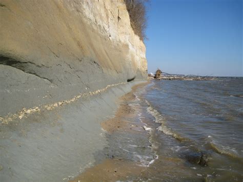 Calvert Cliffs State Park ~ Cliffs & Canyon