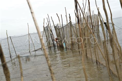 Perangkap Ikan Tradisional Antara Foto