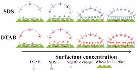 Wettability Of Ionic Surfactants Sds And Dtab On Wheat Triticum