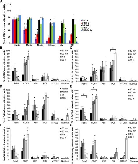 Host Cell Interactions Of Outer Membrane Vesicle Associated Virulence Factors Of