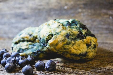 Wild Blueberry Scone — Authentic Gourmet Bakeshop