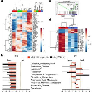 Agi Promotes D Growth Of Idh R H Heterozygous Cells By