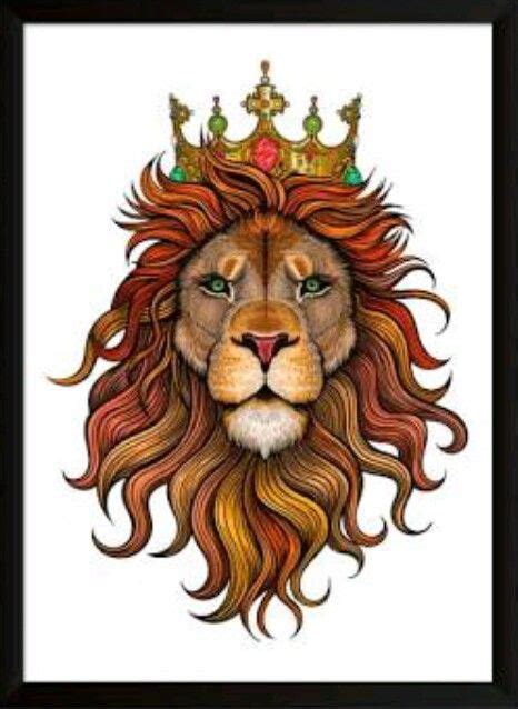 Pin by Rafael Arce on leões Lion illustration Lion art tattoo Lion