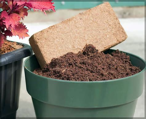 Cocopeat Block Coir Block 650 Grams Expands Up To 3 5 Liters