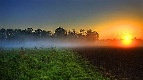 Green Mist Wallpaper - WallpaperSafari