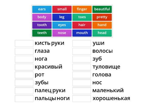 Кузовлев 3 части тела - Match up