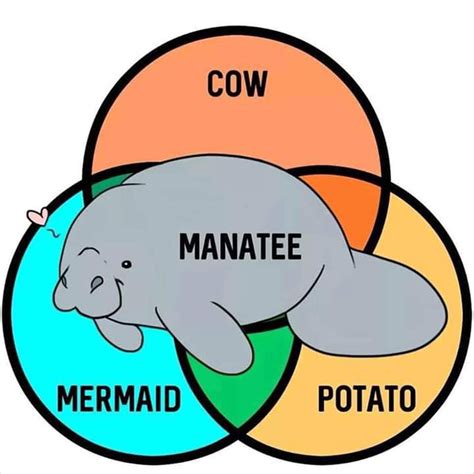 People Are Cracking Up At These 31 Venn Diagrams That Are More Funny ...