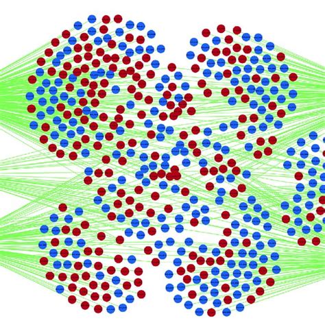 MiRNA MRNA Regulatory Network For Differentially Expressed MiRNAs And