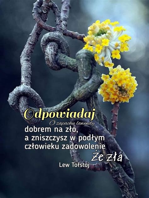 Pin by Roman Romulo on wielkie słowa Wise words Words Wise