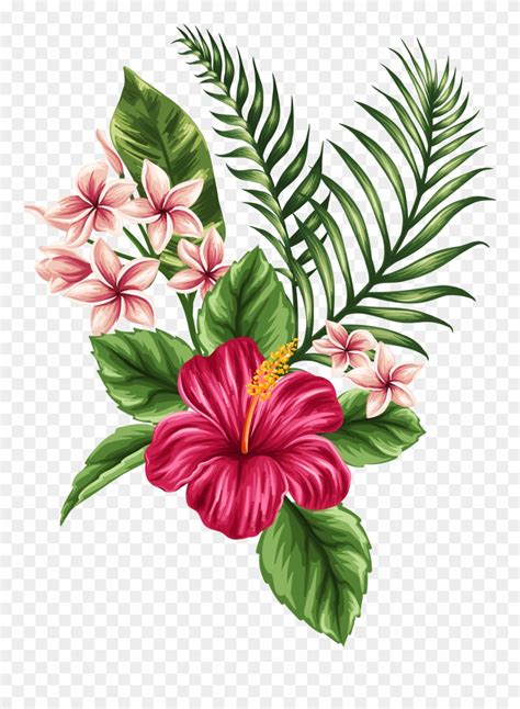 Watercolor Tropical Flowers Clipart Best Flower Site