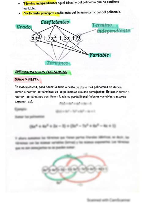 SOLUTION Polinomios Matematica Studypool