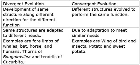 Differentiate Between Divergent And Convergent Evolution Give One