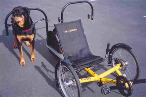 The Dog Powered Recumbent Trike Urban Dog Dog Sledding Dog Exercise