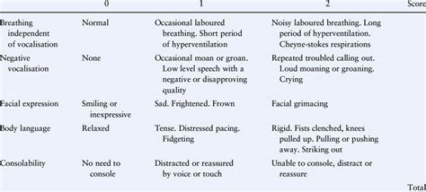 Dementia Pain Assessment Tool