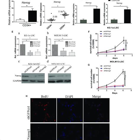 Zhong LIU | PhD | Jinan University (Guangzhou, China), Guangzhou ... 