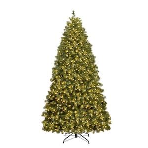 Lightshare 6 Ft Plus 4 Ft Pre Lit LED Palm Tree Artificial Christmas