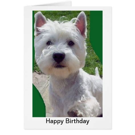 Westie Birthday Card Greetings Card Paw Up Hello Zazzle