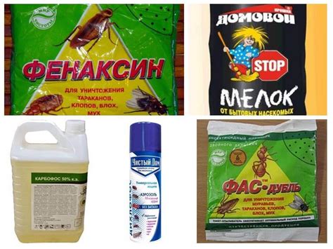Средство от блох: обзор лучших препаратов, дезинсекция
