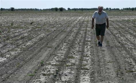 En Argentina Crece Malestar De Productores Por Larga Sequ A