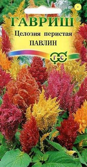 Купить семена Целозия перистая Павлин (гавриш) 0,05гр — доставка по ...