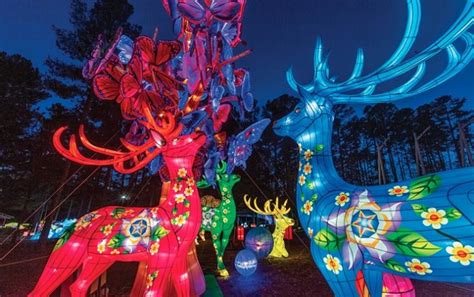 NC Chinese Lantern Festival Returns to Cary - Cary Magazine