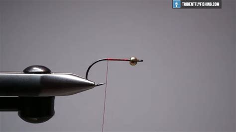 How To Tie The Rolled Muddler Minnow Fly Pattern Trident Fly Fishing