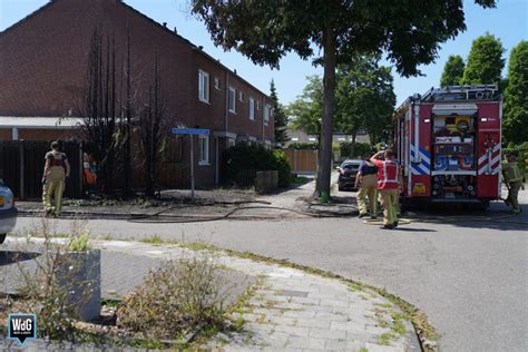 Coniferen Vatten Vlam Tijdens Wegbranden Onkruid In Budel Dorplein