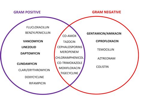 Antibiotic Spectrum OSCEstop OSCE Learning