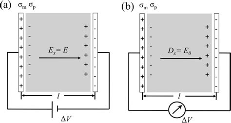 Parallel Plate Capacitor At A Constant Electric Field Ex And B At