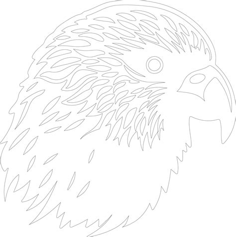 Kakapo Rescued From The Brink Of Extinction 3