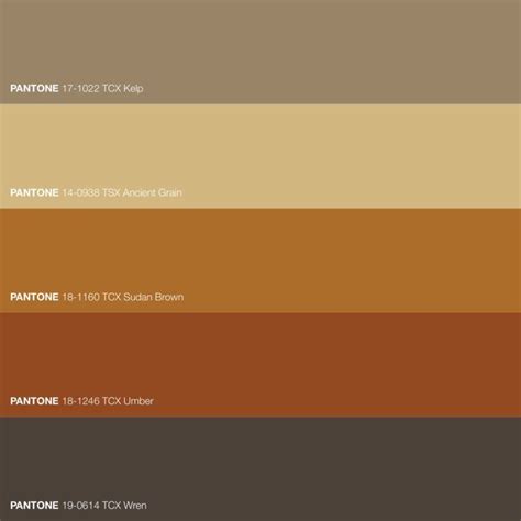 Rich Brown Saturated Color Palette • Download Free Adobe Illustrator ...