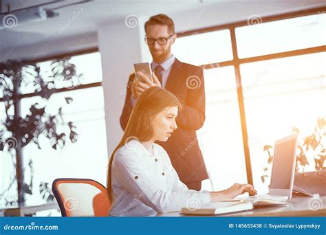 Busy Colleagues Working In Sunny Office Stock Photo Image Of Happy