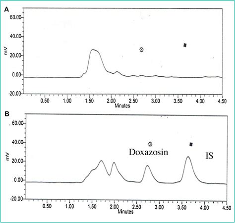 Representative Chromatograms For A Blank Plasma Sample B Blank