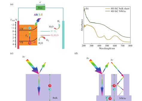 碳化硅纳米线阵列基一体化光电阳极用于高效裂解水制氢