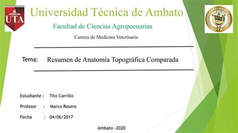 Anatom A Topogr Fica Del Equino Y Canino Ppt Descarga Gratuita