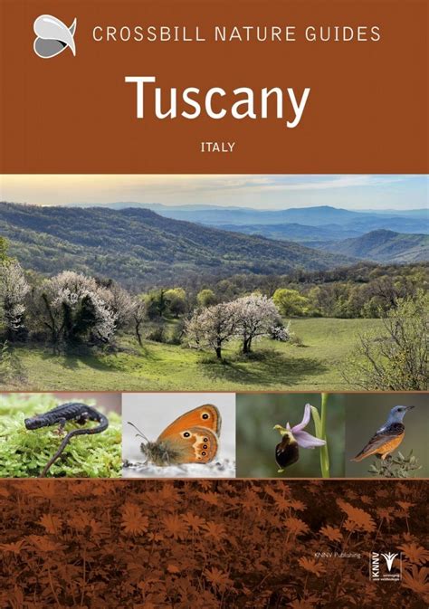 Crossbill Guide Tuscany Italy Nhbs Field Guides Natural History