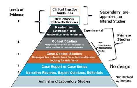 What Are The Types Of Evidence