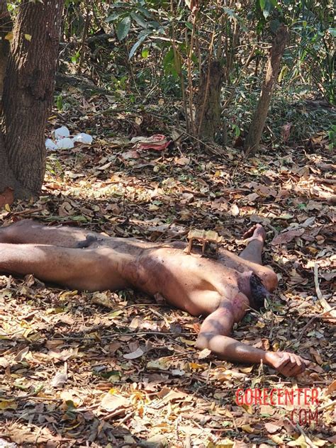 Naked Headless Body Of Man Found In Woods Gorecenter