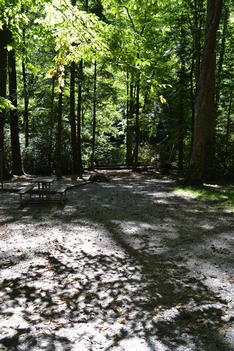 Camperedge Cataloochee Campground 5